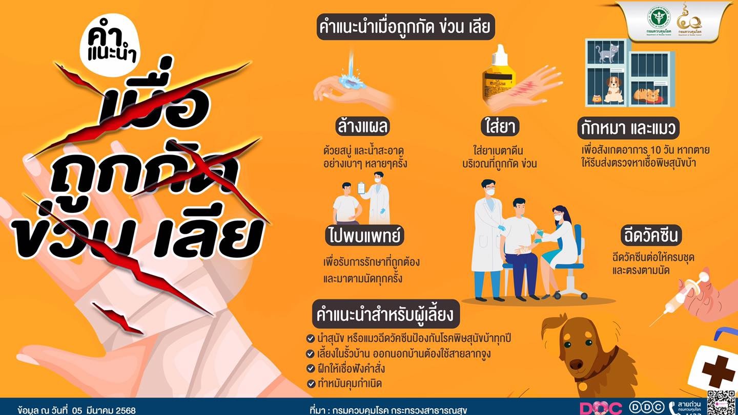 messageImage 1741836244167