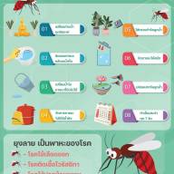 8 วิธีกำจัดแหล่งวางไข่ยุง