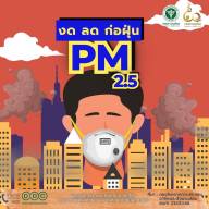 งด ลด ก่อฝุ่น PM2.5