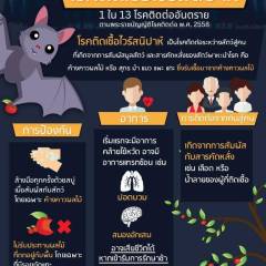 โรคติดเชื้อไวรัสนิปาห์ 