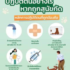 ปฏิบัติตนอย่างไร หากถูกสุนัขกัด